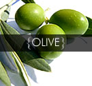 Olive Squalane