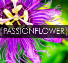 passionflower extract