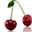 Maraschino Cherry